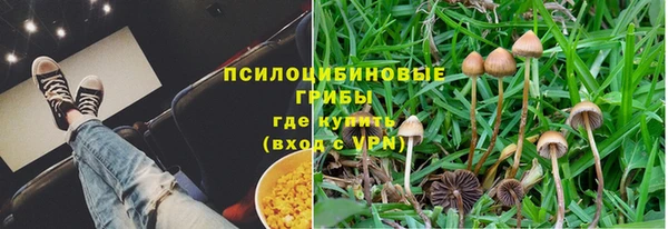 эйфоретик Алзамай