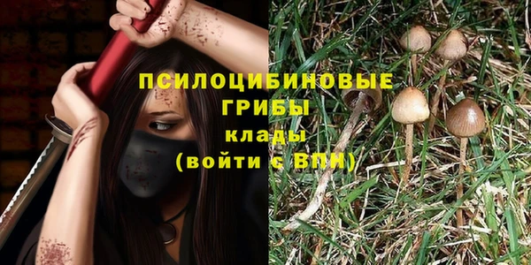 эйфоретик Алзамай