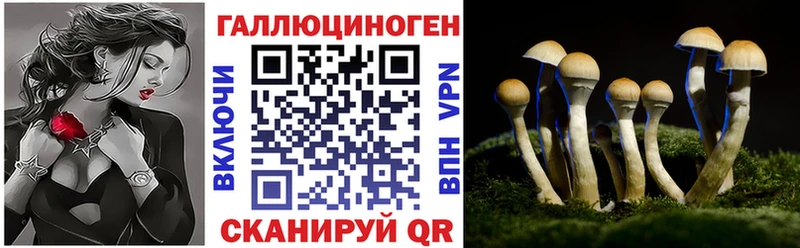 KRAKEN ТОР Жуков Галлюциногенные грибы мухоморы даркнет сайт