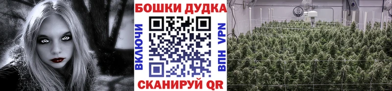 сколько стоит  Жуков  OMG tor  нарко площадка Telegram  Каннабис MAZAR 